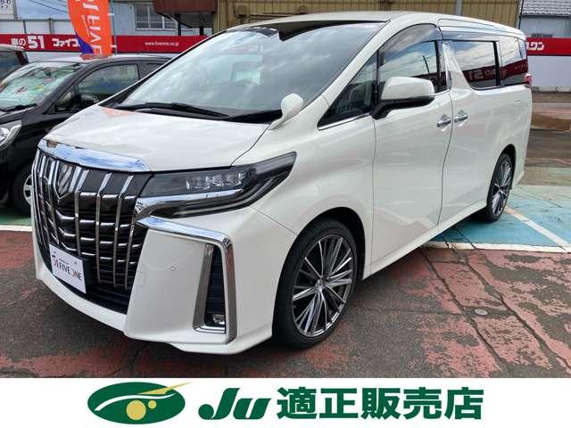 アルファード（新潟県長岡市）