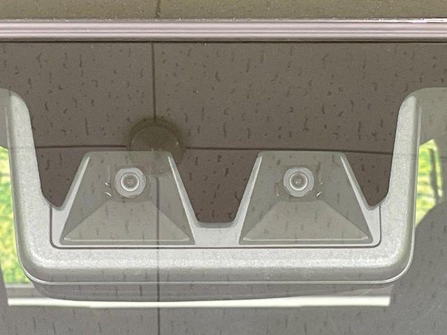 タフト（新潟県長岡市）画像4