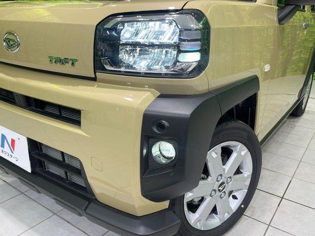 タフト（新潟県長岡市）画像12