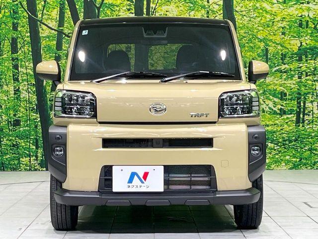タフト（新潟県長岡市）画像14