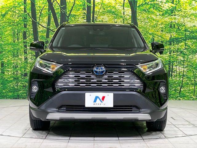 ＲＡＶ４（新潟県長岡市）画像14