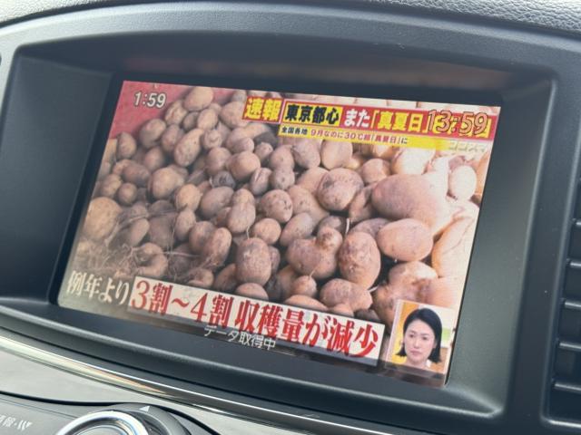 エルグランド（新潟県長岡市）画像15
