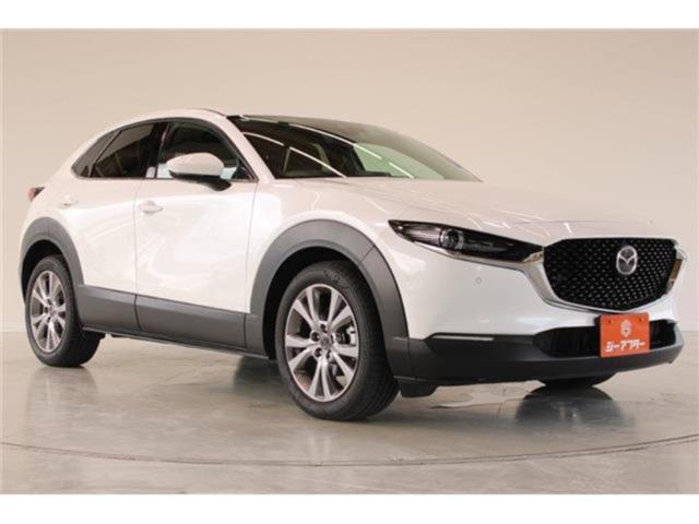 ＣＸ－３０（新潟県新潟市東区）