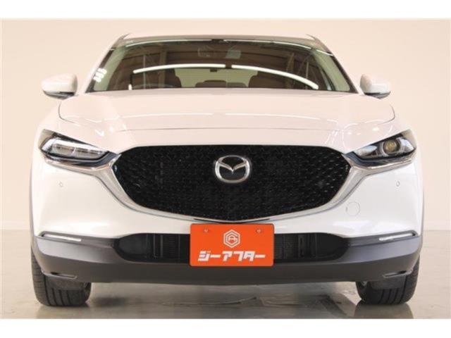 ＣＸ－３０（新潟県新潟市東区）
