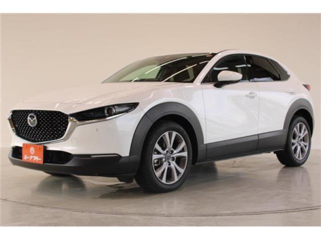 ＣＸ－３０（新潟県新潟市東区）