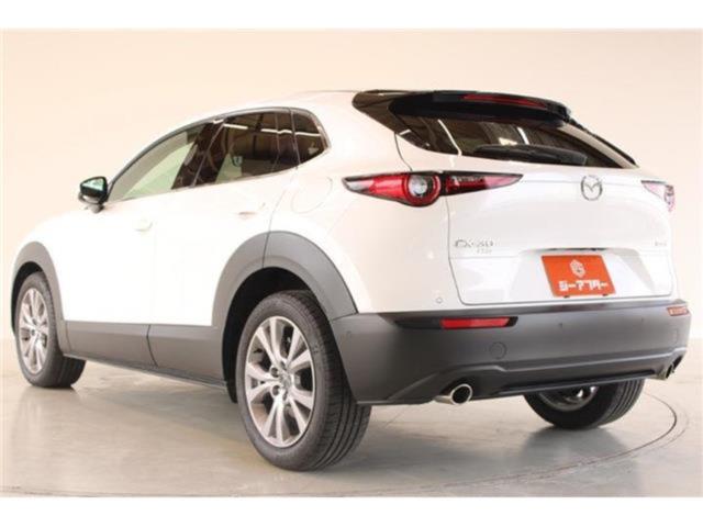 ＣＸ－３０（新潟県新潟市東区）