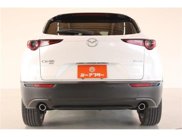 ＣＸ－３０（新潟県新潟市東区）