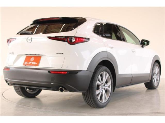 ＣＸ－３０（新潟県新潟市東区）