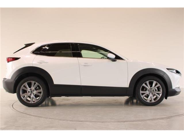ＣＸ－３０（新潟県新潟市東区）