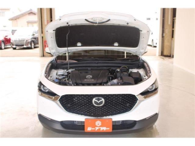 ＣＸ－３０（新潟県新潟市東区）