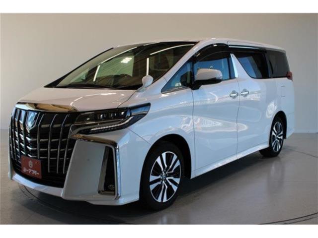 アルファード（新潟県新潟市東区）