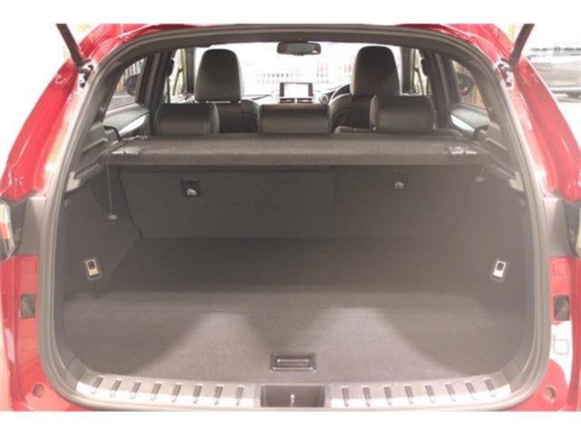 レクサスＮＸ（新潟県新潟市東区）画像34