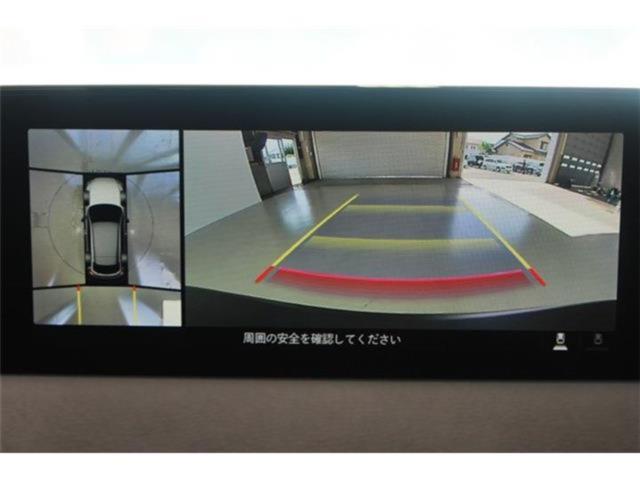 MX-30（新潟県新潟市東区）画像6