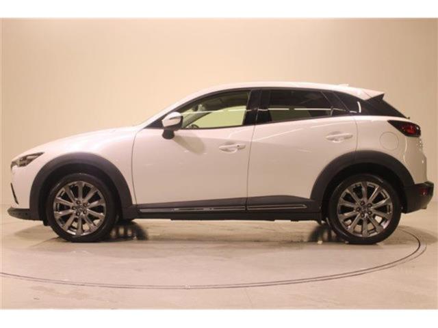 CX-3（新潟県新潟市東区）