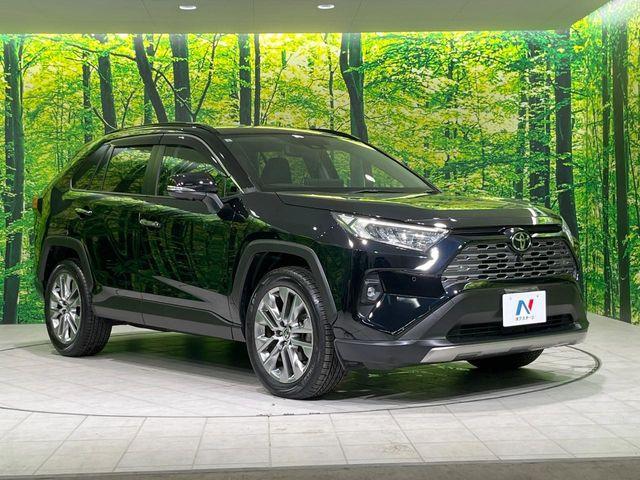 ＲＡＶ４（新潟県長岡市）画像16