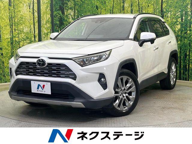 ＲＡＶ４（新潟県新潟市南区）