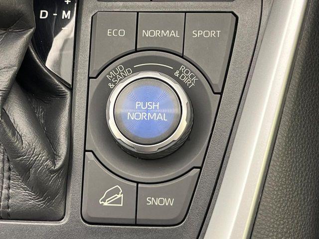 ＲＡＶ４（新潟県新潟市南区）画像62