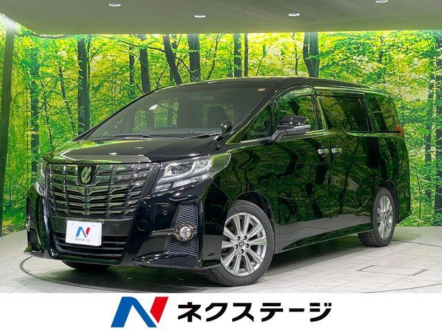 アルファード（新潟県長岡市）