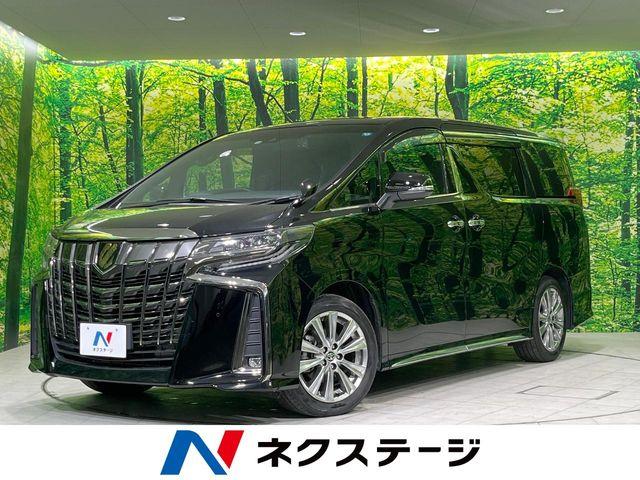 アルファード（新潟県長岡市）
