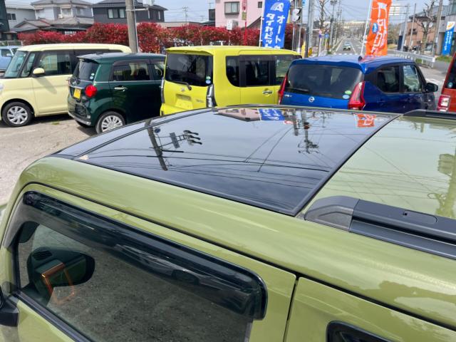 タフト（新潟県新潟市西区）画像28
