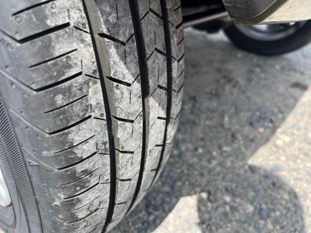 タフト（新潟県新潟市西区）画像34