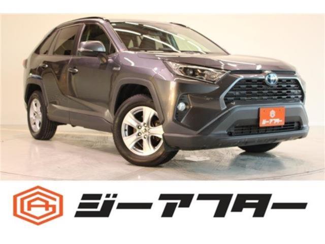 ＲＡＶ４（新潟県新潟市東区）