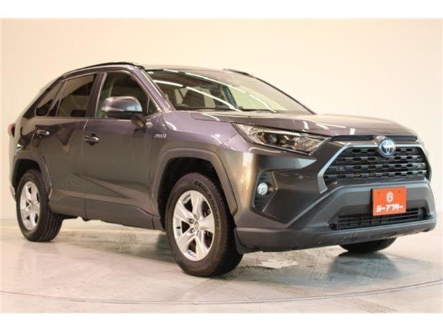 ＲＡＶ４（新潟県新潟市東区）