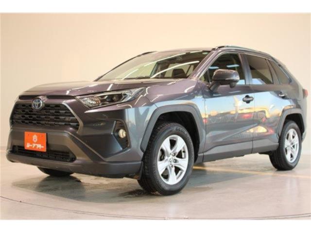 ＲＡＶ４（新潟県新潟市東区）
