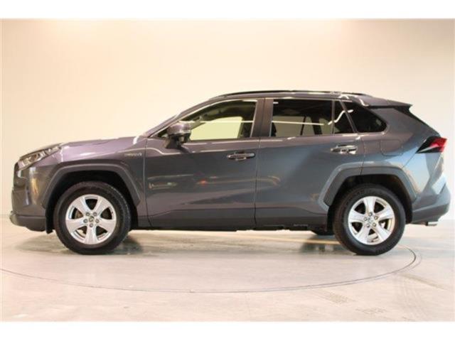 ＲＡＶ４（新潟県新潟市東区）