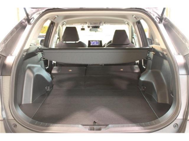 ＲＡＶ４（新潟県新潟市東区）