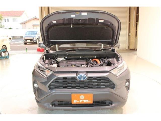 ＲＡＶ４（新潟県新潟市東区）