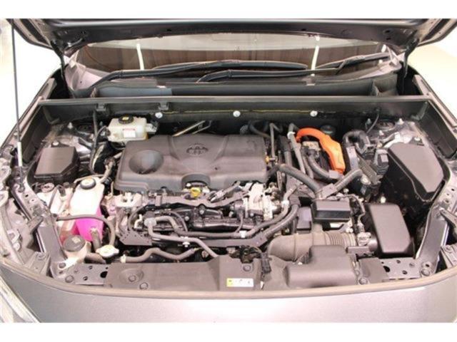 ＲＡＶ４（新潟県新潟市東区）