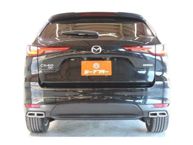 CX-60（新潟県新潟市東区）画像12