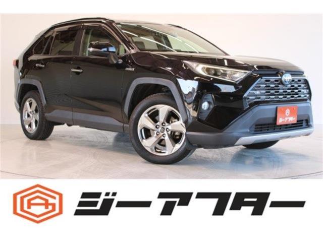 ＲＡＶ４（新潟県新潟市東区）