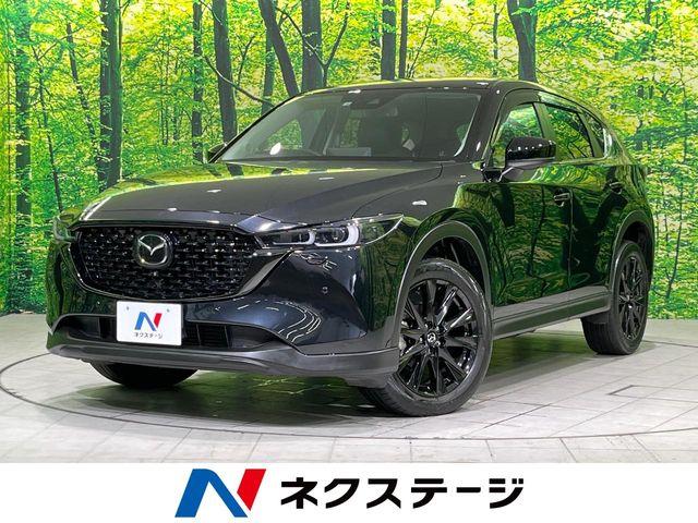 CX-5（新潟県長岡市）