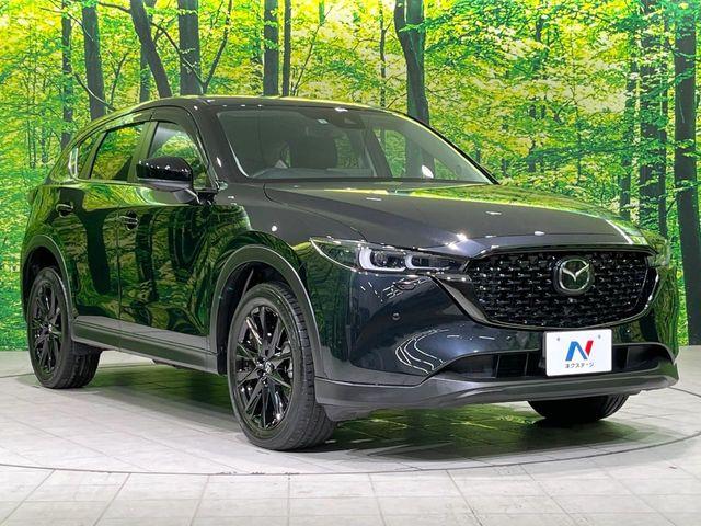 CX-5（新潟県長岡市）画像16