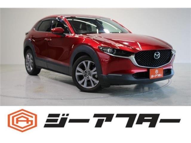 ＣＸ－３０（新潟県新潟市東区）