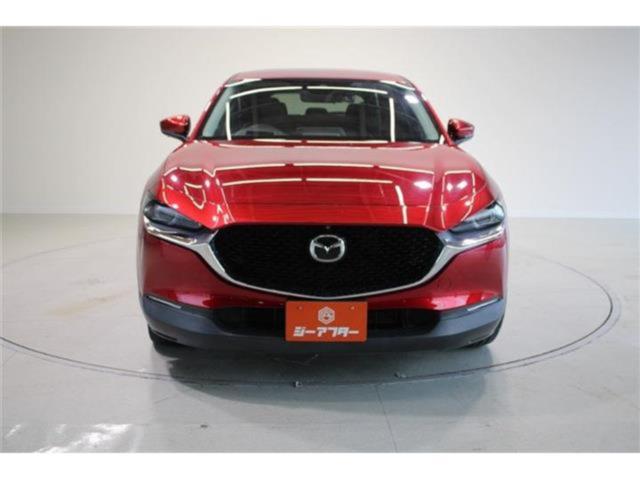 ＣＸ－３０（新潟県新潟市東区）画像8