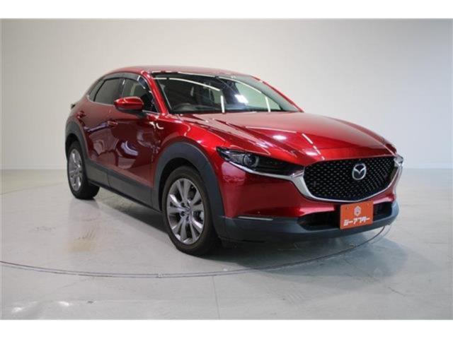 ＣＸ－３０（新潟県新潟市東区）画像9
