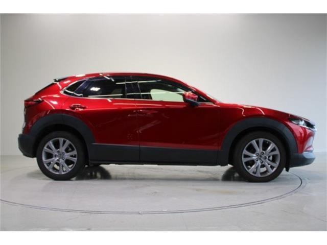 ＣＸ－３０（新潟県新潟市東区）画像10
