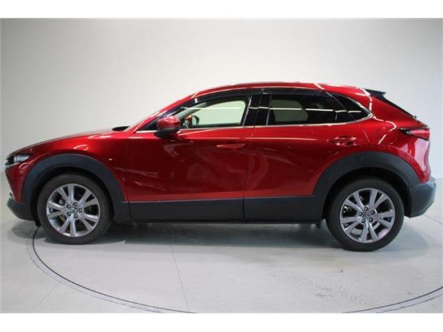 ＣＸ－３０（新潟県新潟市東区）画像14