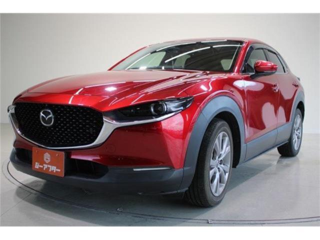 ＣＸ－３０（新潟県新潟市東区）画像15
