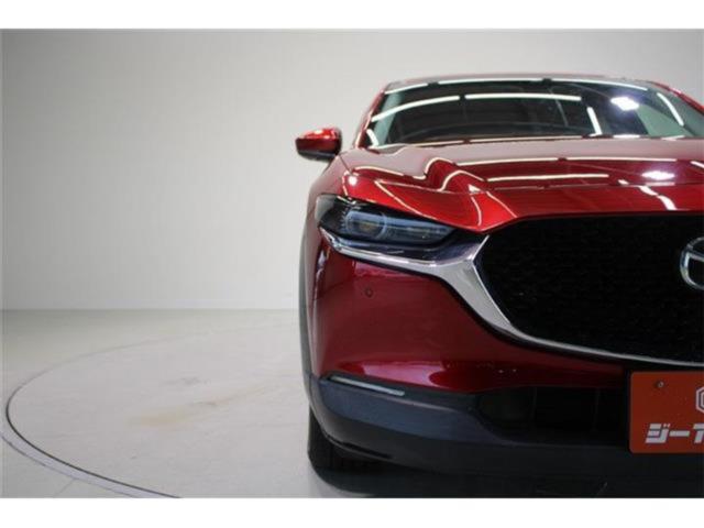 ＣＸ－３０（新潟県新潟市東区）画像16