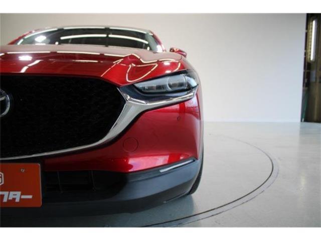 ＣＸ－３０（新潟県新潟市東区）画像19