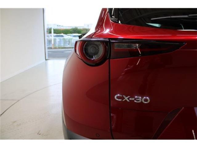 ＣＸ－３０（新潟県新潟市東区）画像23
