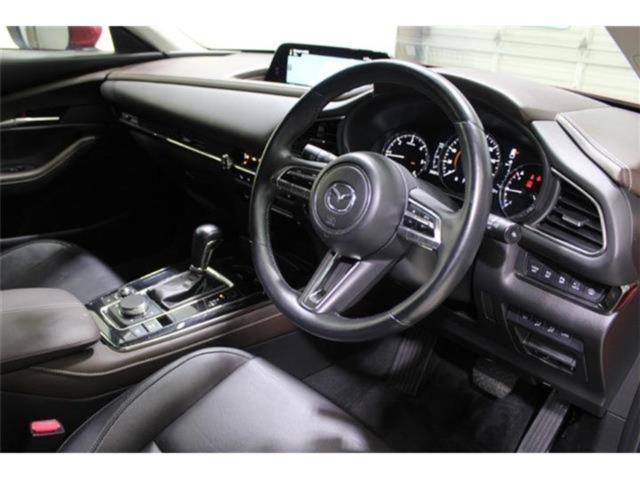 ＣＸ－３０（新潟県新潟市東区）画像39