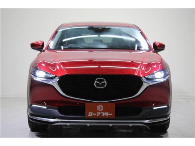 ＣＸ－３０（新潟県新潟市東区）画像8