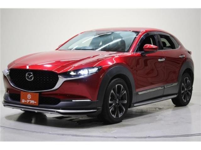 ＣＸ－３０（新潟県新潟市東区）画像9