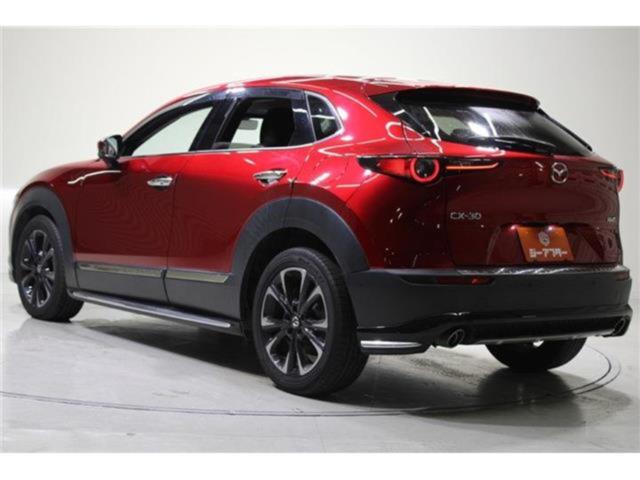 ＣＸ－３０（新潟県新潟市東区）画像11