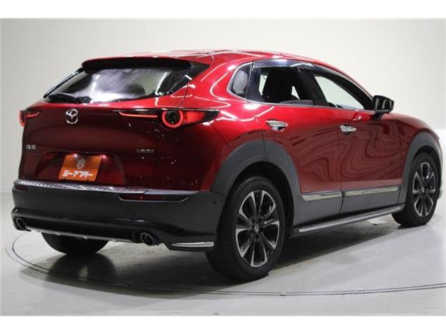 ＣＸ－３０（新潟県新潟市東区）画像13